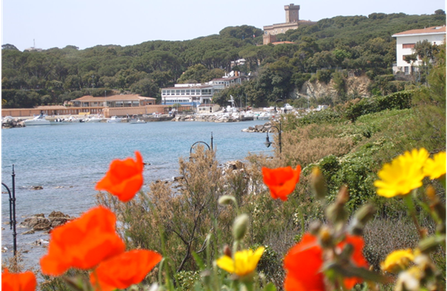 Un panorama unico, nei dintorni la tipica campagna toscana e sul mare le incantevoli coste rocciose con piccole insenature sabbiose.